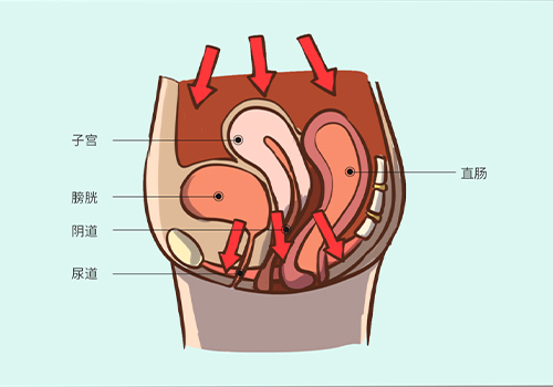 ����Ů����׹��ܽ�����չ��ΰ�ײ��Ƴ���Ƶ����������