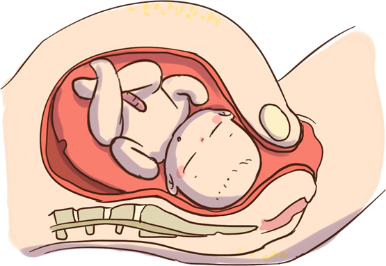 ΰ�ײ��۲� | �ӹ��Ѵ���ʲô ����˹�Ŵ̼�������Ů�����ΰ�ײ�
